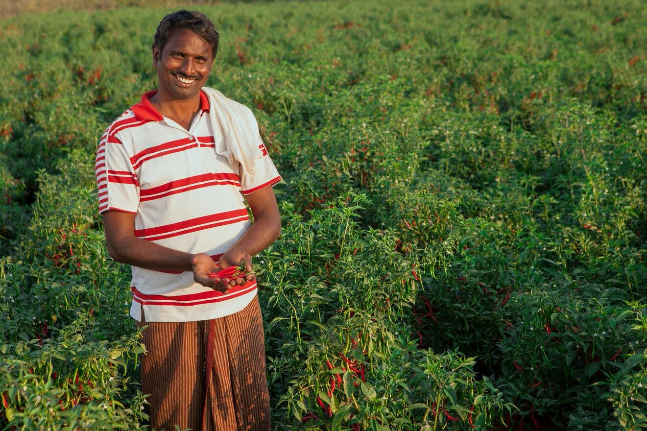 Indian man in field