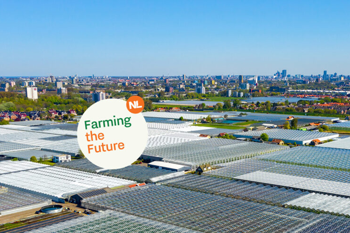 News & Events Dutch Greenhouse Delta