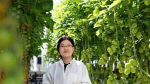 NL Protected Agri Alliance China