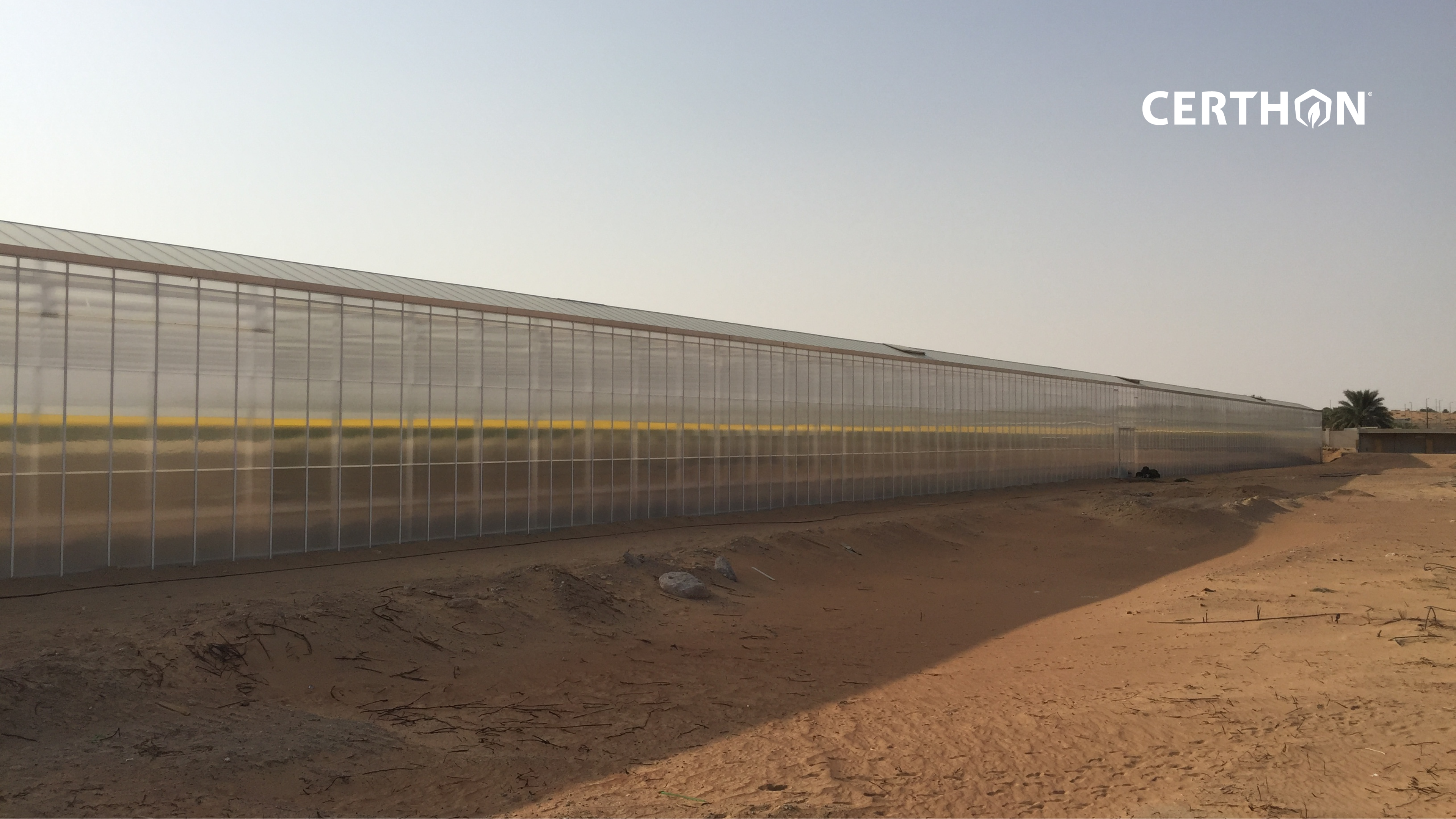 Desert pure harvest