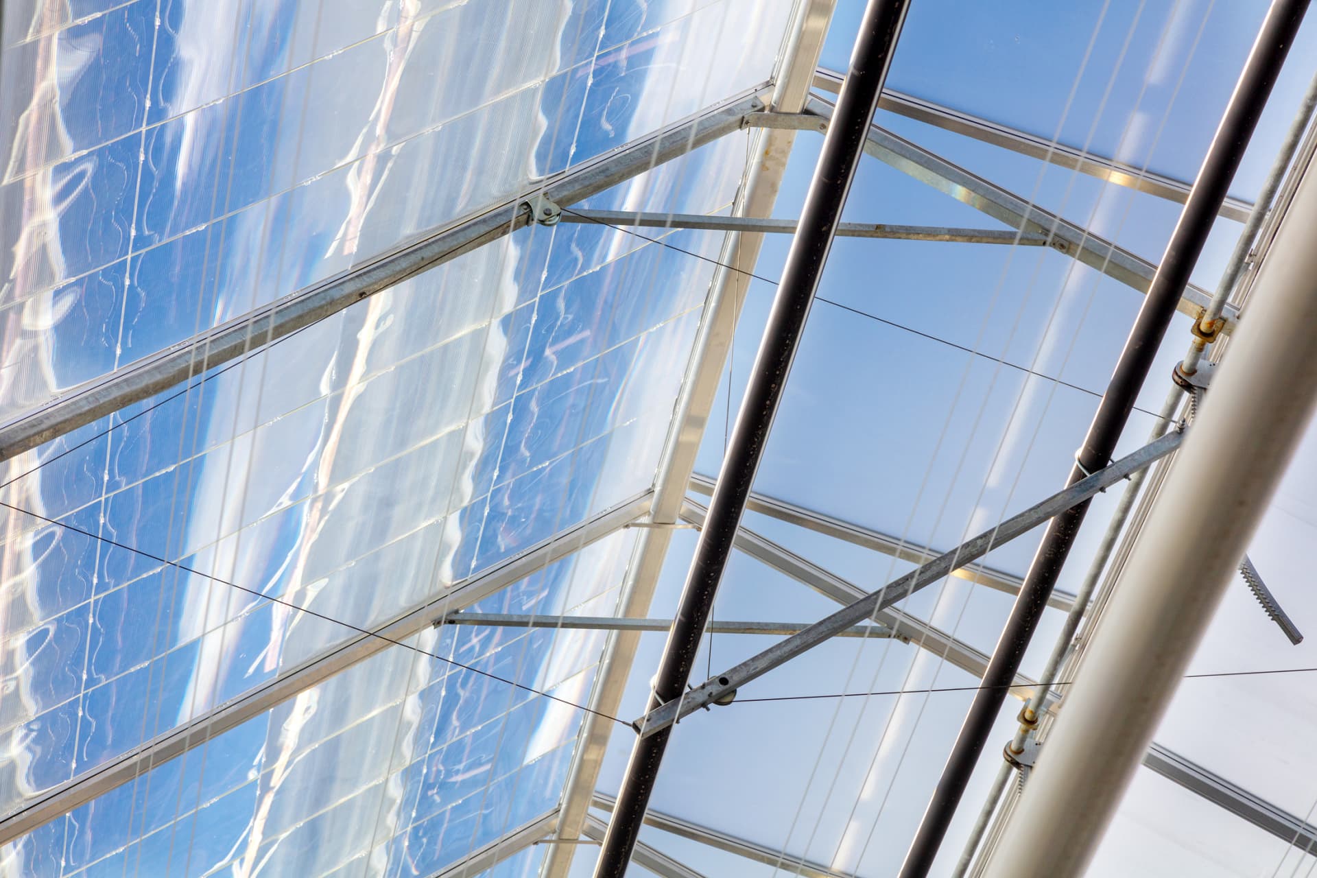 Daylight greenhouse