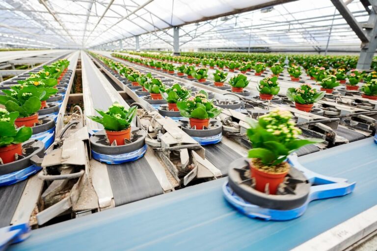 Dutch Greenhouse Delta - breaking new ground together - Home